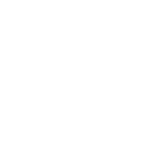 LinkedIn icon